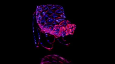 Rendering 3D animation, VISUAL EFFECTS Turtle shell chair Model on a black Stock Footage 267015091