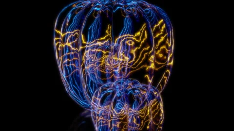 Rendering 3D animation, VISUAL EFFECTS pepper gourd Model on a black background Stock Footage 267465096