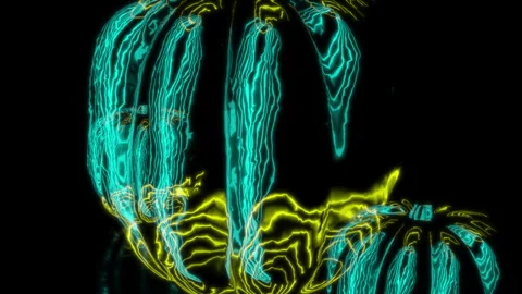 Rendering 3D animation, VISUAL EFFECTS pepper gourd Model on a black background Stock Footage 267846828