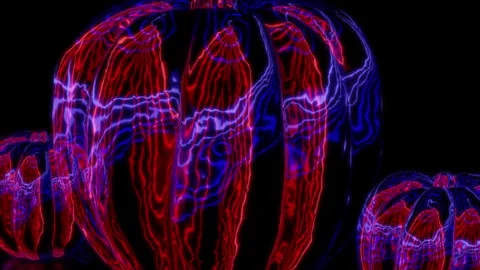 Rendering 3D animation, VISUAL EFFECTS pepper gourd Model on a black background Stock Footage 269631744