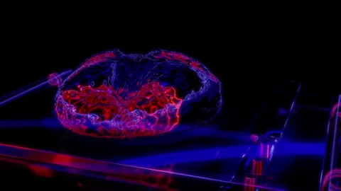 Rendering 3D animation, VISUAL EFFECTS bread and knife on a cutting board Model Stock Footage 269633057