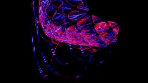 Rendering 3D animation, VISUAL EFFECTS Turtle shell chair Model on a black Stock Footage 269634104