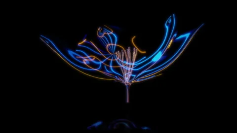 Rendering 3D animation, VISUAL EFFECTS Sakura Flower Model on a black background Stock Footage 270485645