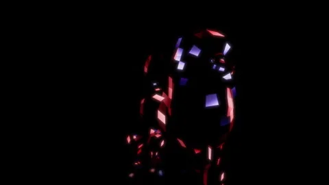 Rendering 3D animation, VISUAL EFFECTS Low Poly Poodle Model on a black Stock Footage 270981011
