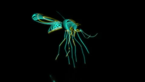 Rendering 3D animation, VISUAL EFFECTS Mosquito Model on a black background Stock Footage 271379243