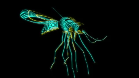 Rendering 3D animation, VISUAL EFFECTS Mosquito Model on a black background Stock Footage 272201884