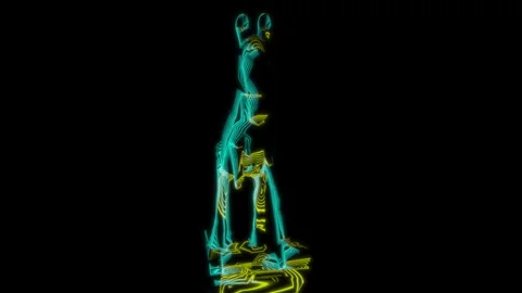 Rendering 3D animation, VISUAL EFFECTS Decorative Horse Model on a black Stock Footage 272204560