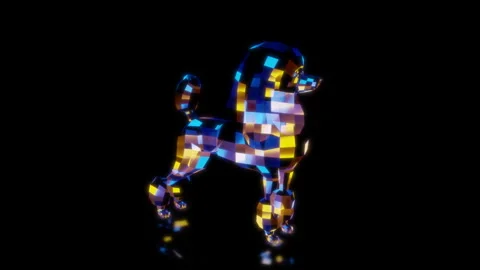 Rendering 3D animation, VISUAL EFFECTS Low Poly Poodle Model on a black Stock-Footage 272679303