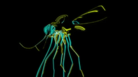 Rendering 3D animation, VISUAL EFFECTS Mosquito Model on a black background Stock Footage 273840649