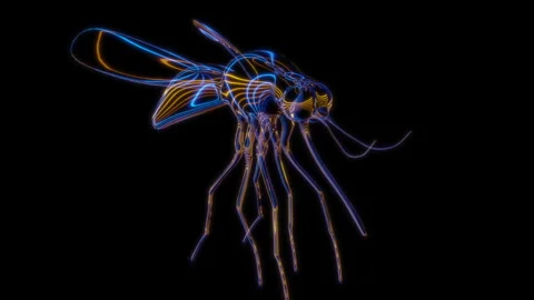 Rendering 3D animation, VISUAL EFFECTS Mosquito Model on a black background Stock Footage 274179835