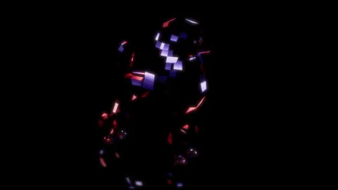 Rendering 3D animation, VISUAL EFFECTS Low Poly Poodle Model on a black Stock Footage 274312525