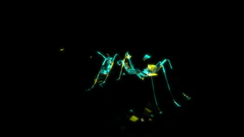 Rendering 3D animation, VISUAL EFFECTS Low Poly Ant Model on a black background Stock Footage 274760200