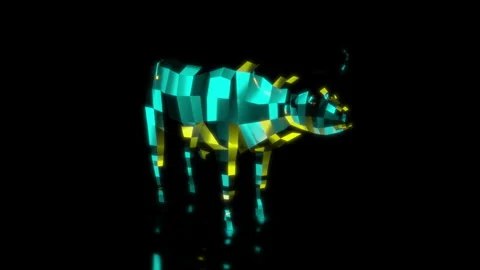 Rendering 3D animation, VISUAL EFFECTS Low Poly African Buffalo Model on a black Stock Footage 274762158