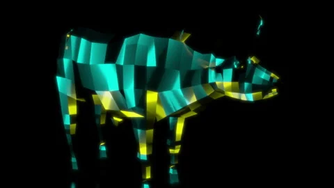 Rendering 3D animation, VISUAL EFFECTS Low Poly African Buffalo Model on a black Stock Footage 275092593