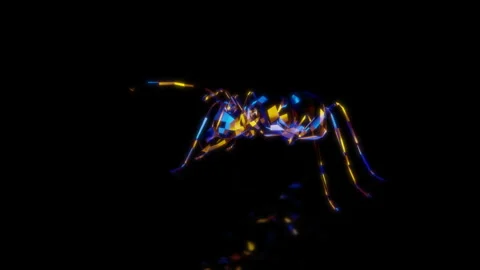 Rendering 3D animation, VISUAL EFFECTS Low Poly Ant Model on a black background 스톡 동영상 275418765
