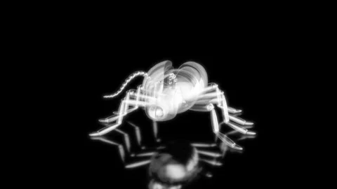 Rendering 3D animation, VISUAL EFFECTS Cute Alien Insect Model on a black Stock Footage 278108762