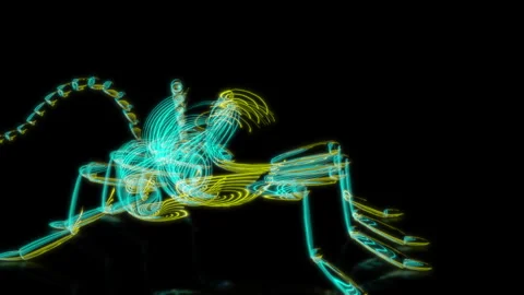 Rendering 3D animation, VISUAL EFFECTS Cute Alien Insect Model on a black Stock Footage 280762376