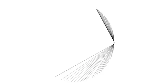 Rendering a Circle Pattern From Overlayed Lines to Demonstrate Pi Video stock 118985343