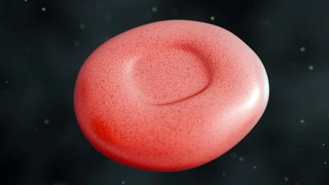 Rendering macro-focused 3D red blood cells suspended in a dark vascular pathway. Stock Illustration