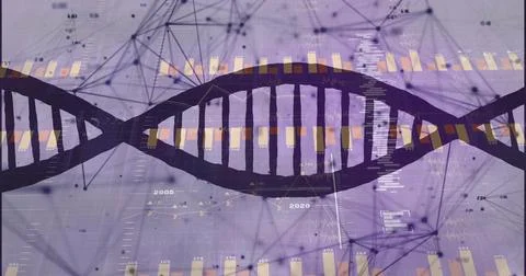 Rendering stylized DNA double helix over purple grid, showing charts, data po Stock Photos