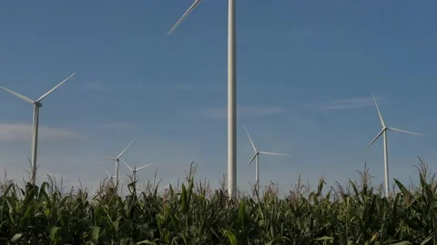Renewable energy concept, Field of wind turbines generating electricity, Stock Footage 140765522