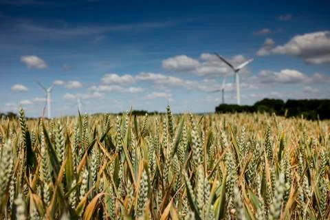 Renewable energy. Stock Photos