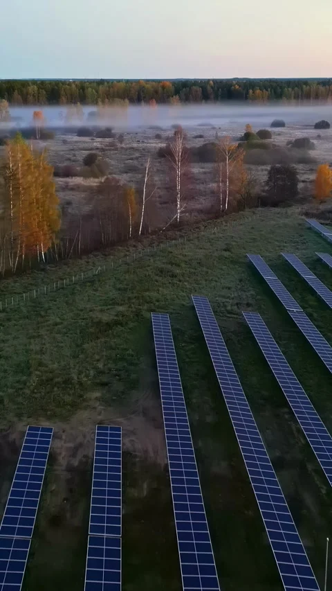 Renewable energy solar panel field with forest fog, vertical view 스톡 동영상 336816450