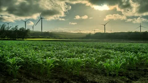 Renewable Energy, Wind Mills, Corn Crops, HDR Time Lapse Vidéo 12343060