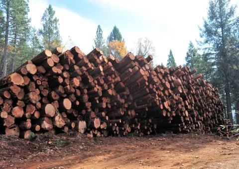 Renewable resource Stock Photos