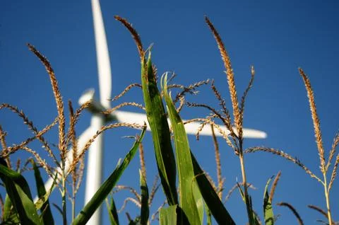 Renewable resources Stock Photos