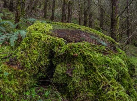 Renewable Resources Foto stock