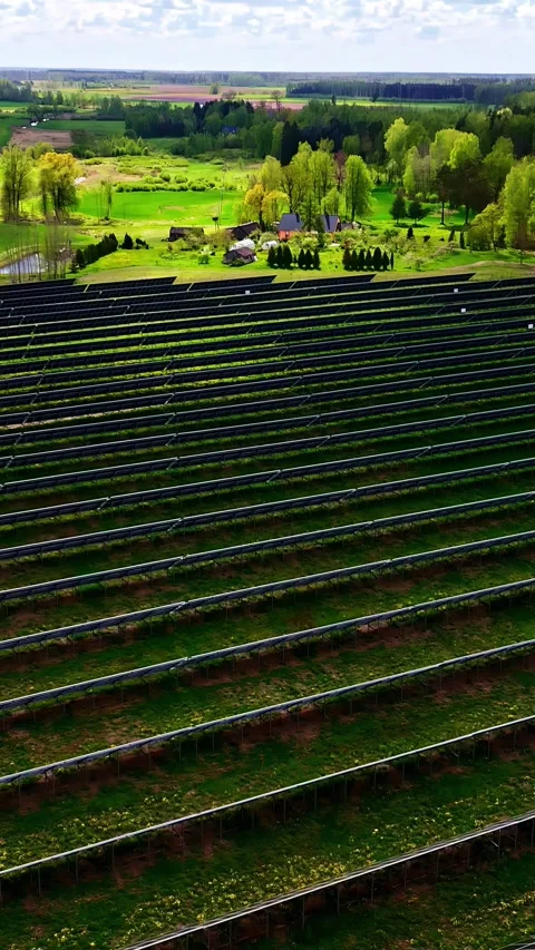 Renewable solar panel electricity energy production farm field, aerial vertical 動画素材 309769370