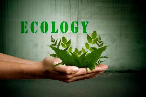 Renewables Stock Illustration