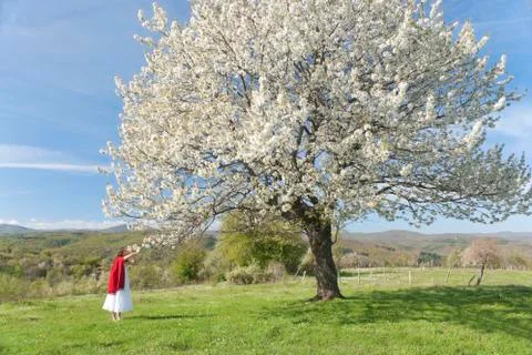 Renewal Stock Photos