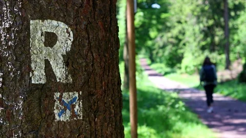 The rennsteig hiking path in thuringia germany 4k 25fps video Stock-Footage 276672224