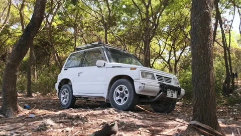 Car Rental Africa Stock Videos – Royalty-Free HD & 4K Videos