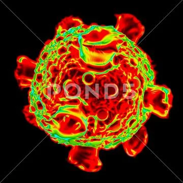 Reovirus, artwork Stock Illustration