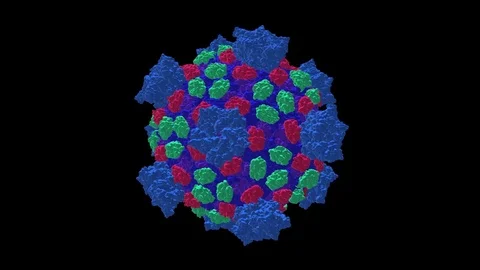 Reovirus capsid PDB code 1ej6 molecular model rotating, seamless loop Stock Footage 74075542
