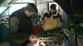 Repair of car HD Footage