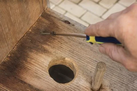Repaired birdhouse springtime Stock-Fotos