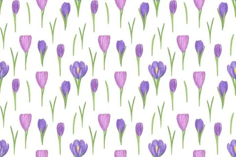 Repeat pattern of the first spring flowers violet crocus Stock Illustration