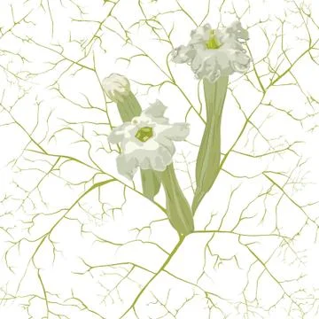 Repeat pattern floral bougainvillea inspiration Stock Illustration