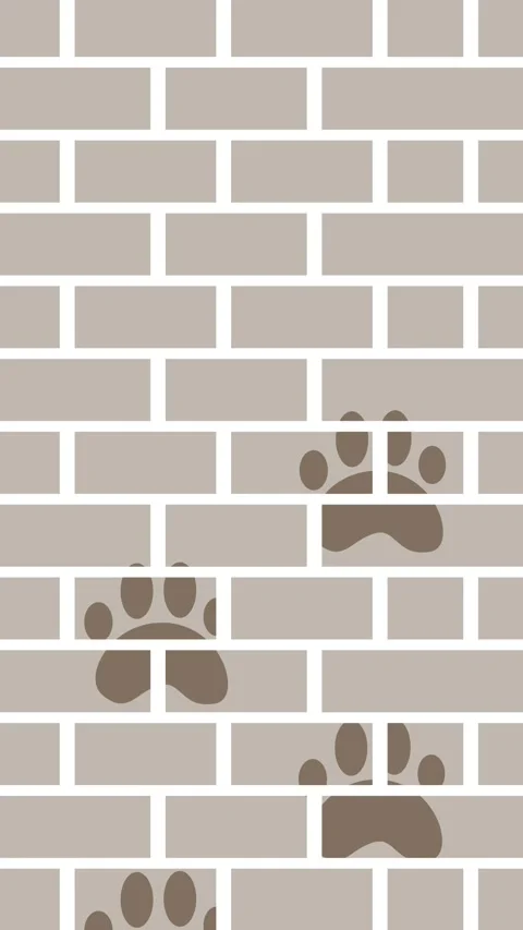 Repeated pattern of animal paw prints on a brick wall, evoking a sense of t.. Stock Footage 340538007