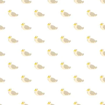 Repeating cartoon seagull pattern on white background 스톡 일러스트