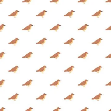 Repeating common sparrow birds pattern on white background 스톡 일러스트