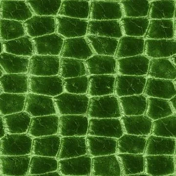 Repeating crocodile skin  pattern Ilustración de archivo