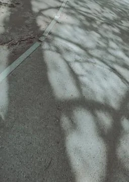 Repeating fence shadows form a pattern across an outdoor pavement surface. Stock Photos