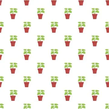 Repeating houseplant pattern with green leaves in pots Stock Illustration