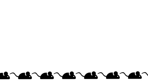 Repeating Mouse Pattern Border Design Stock Footage 336838259