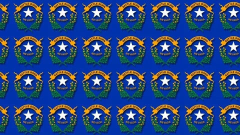 Repeating Nevada State Flag Emblem Pattern Motion Graphic for Native Americ.. Stock Footage 342331944